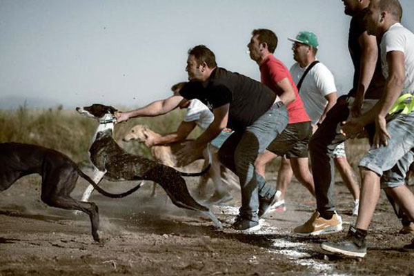 Carreras de galgos